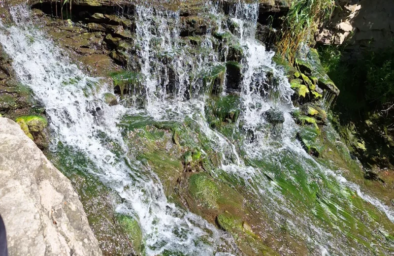 Water flowing over rocks in a woodland stream