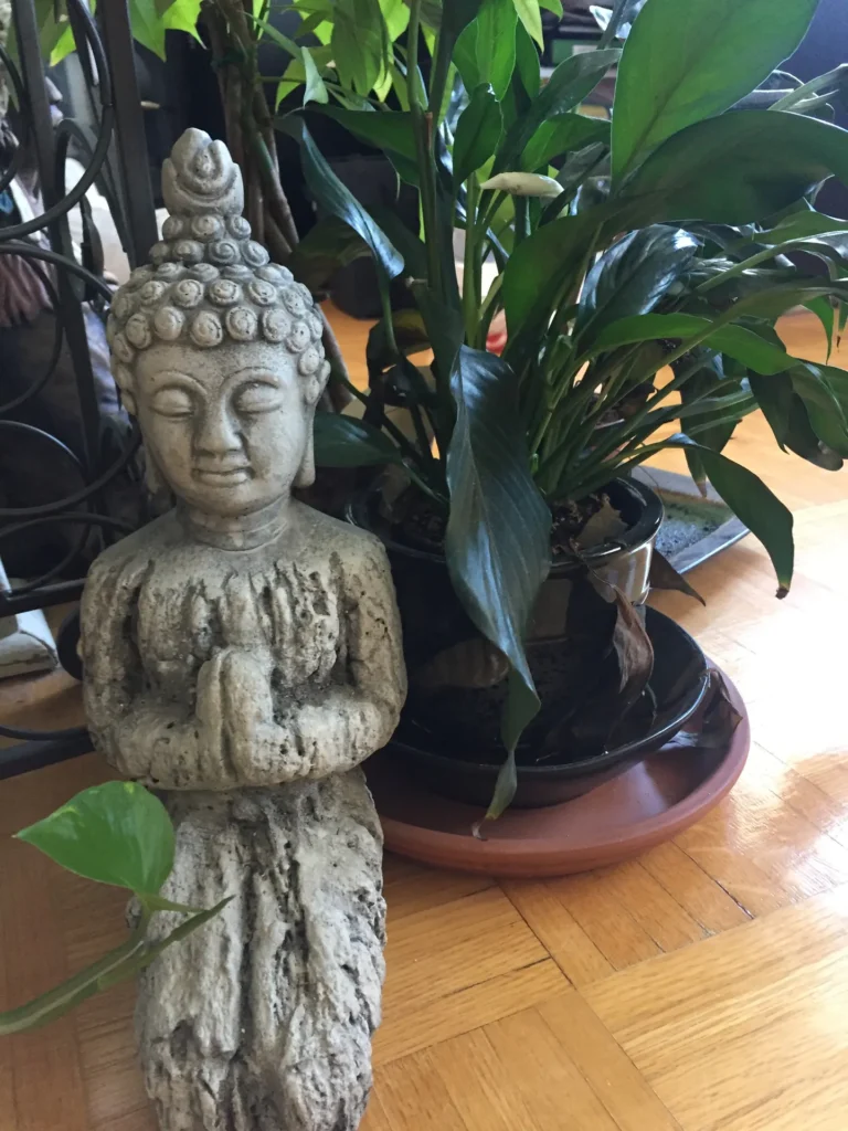 garden buddha