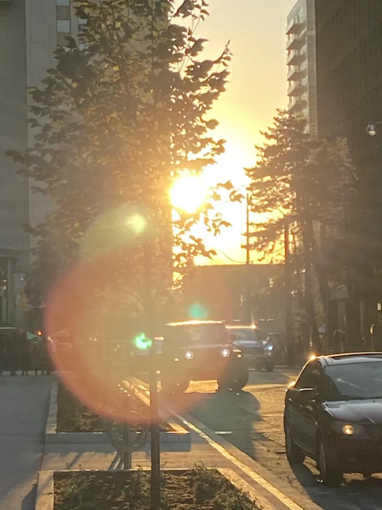 sunset light