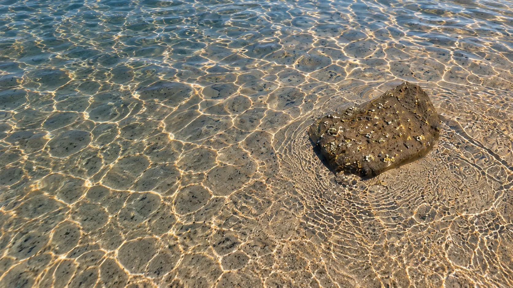 Sunlit ripples around a stone in clear shallow water